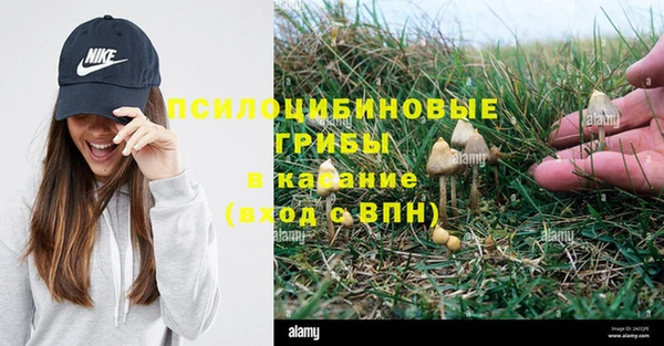 метадон Алзамай