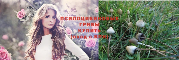 кокаин колумбия Алексин