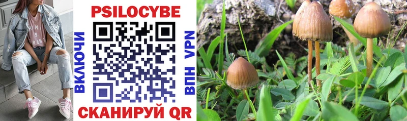Псилоцибиновые грибы MAGIC MUSHROOMS  Лебедянь 